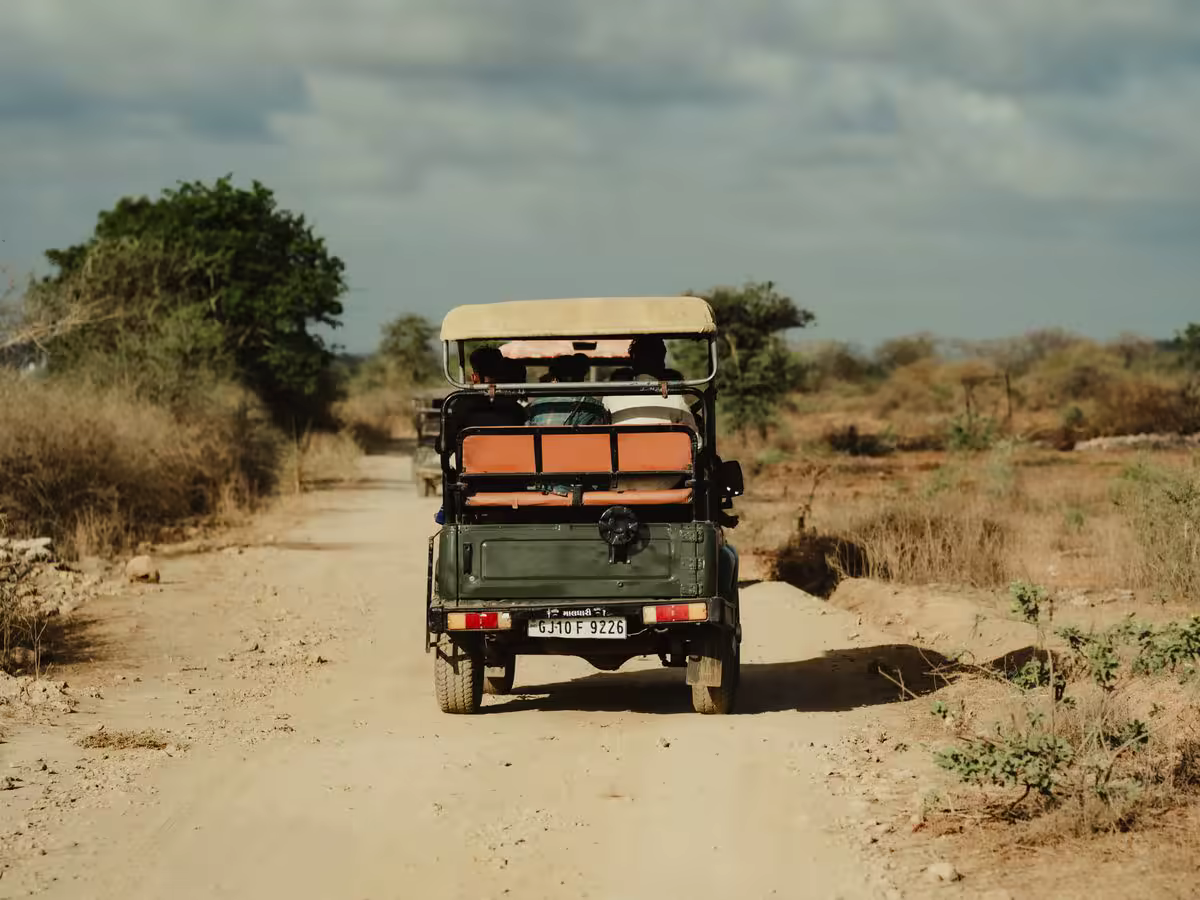 Best Rajaji Safari Zones for First-Time Visitors
