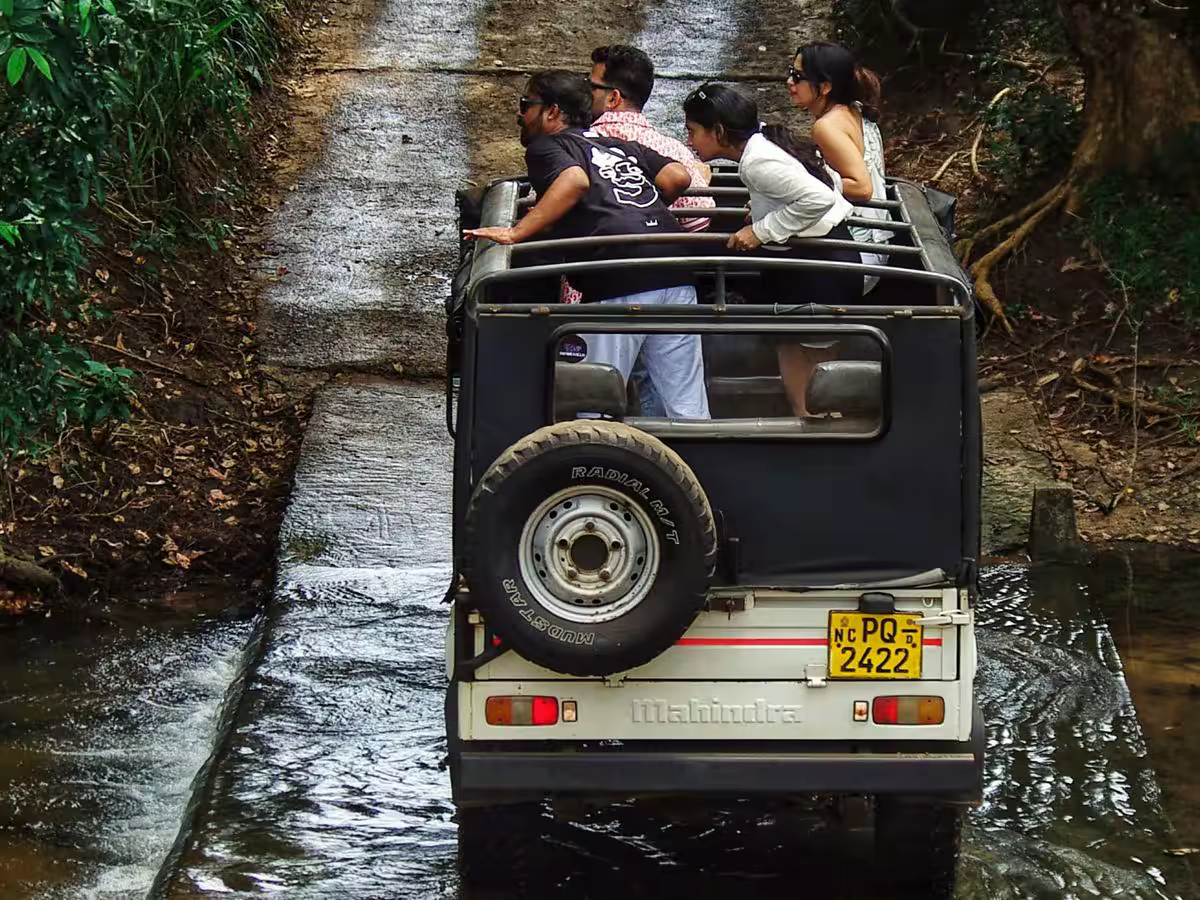 What an Early Morning Jeep Safari in Rajaji Actually Feels Like