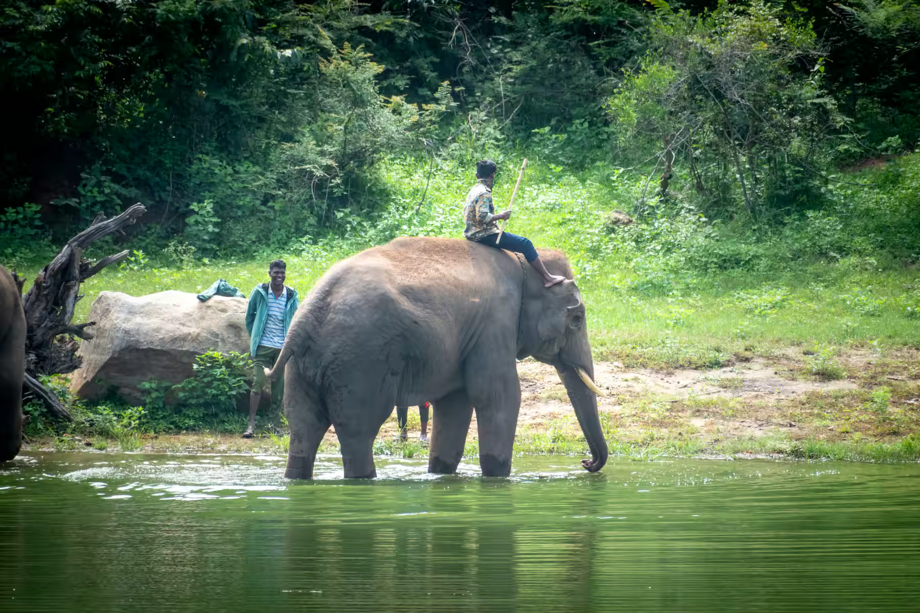 Elephant habitat mood linked to Chilla Zone in Rajaji National park