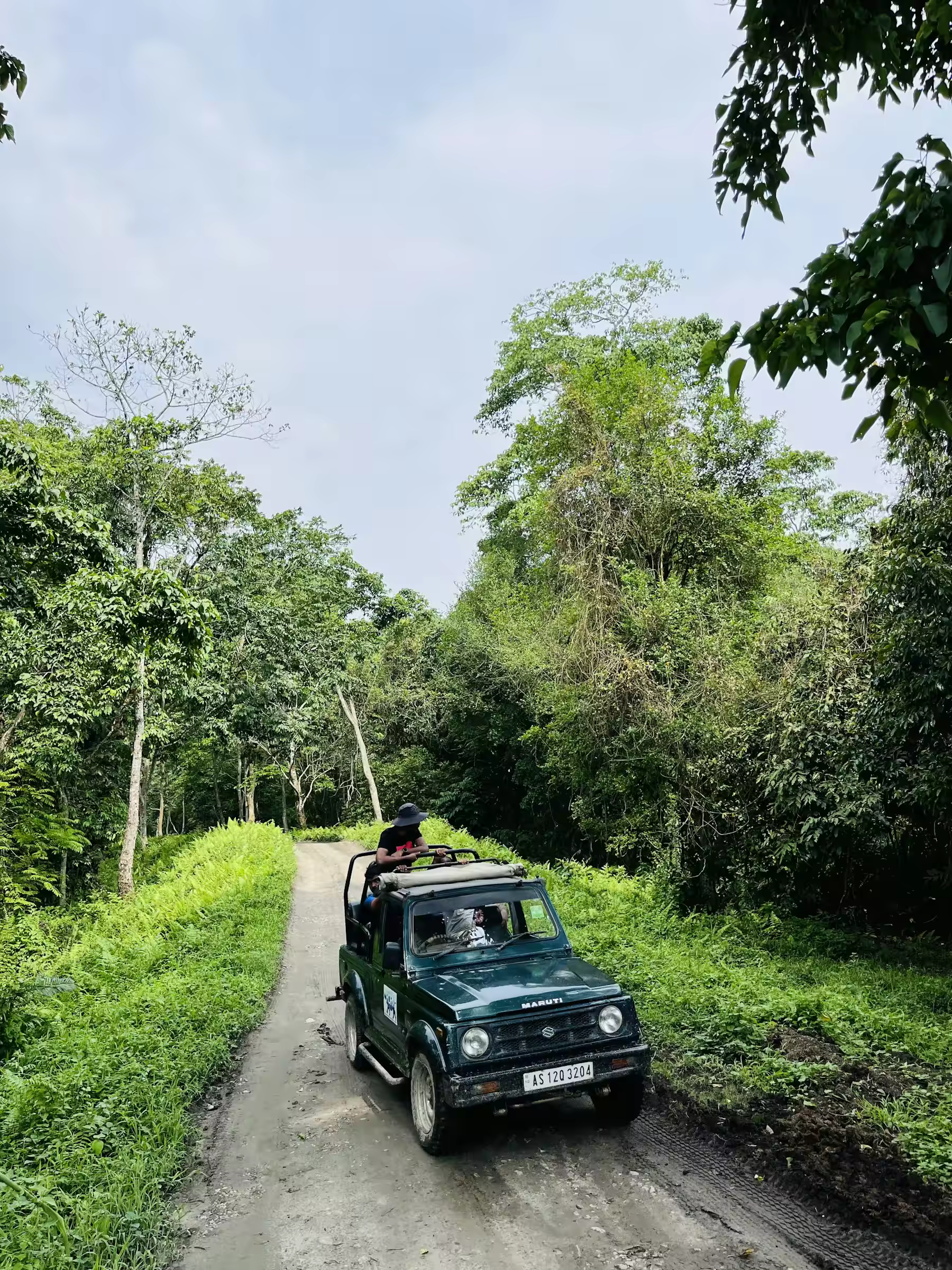 Dehradun Mohand safari plan