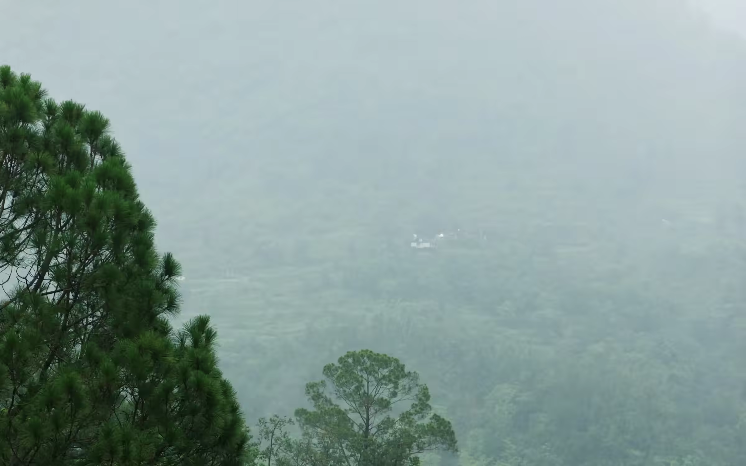 Misty forest mountains in Rajaji safari country