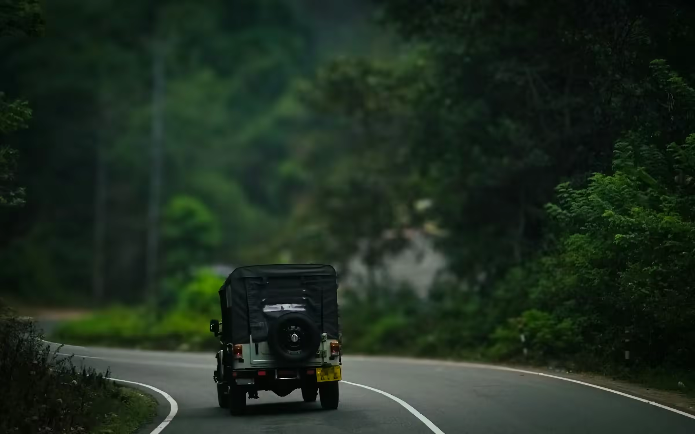 Jeep on a forest road for Mohand Zone