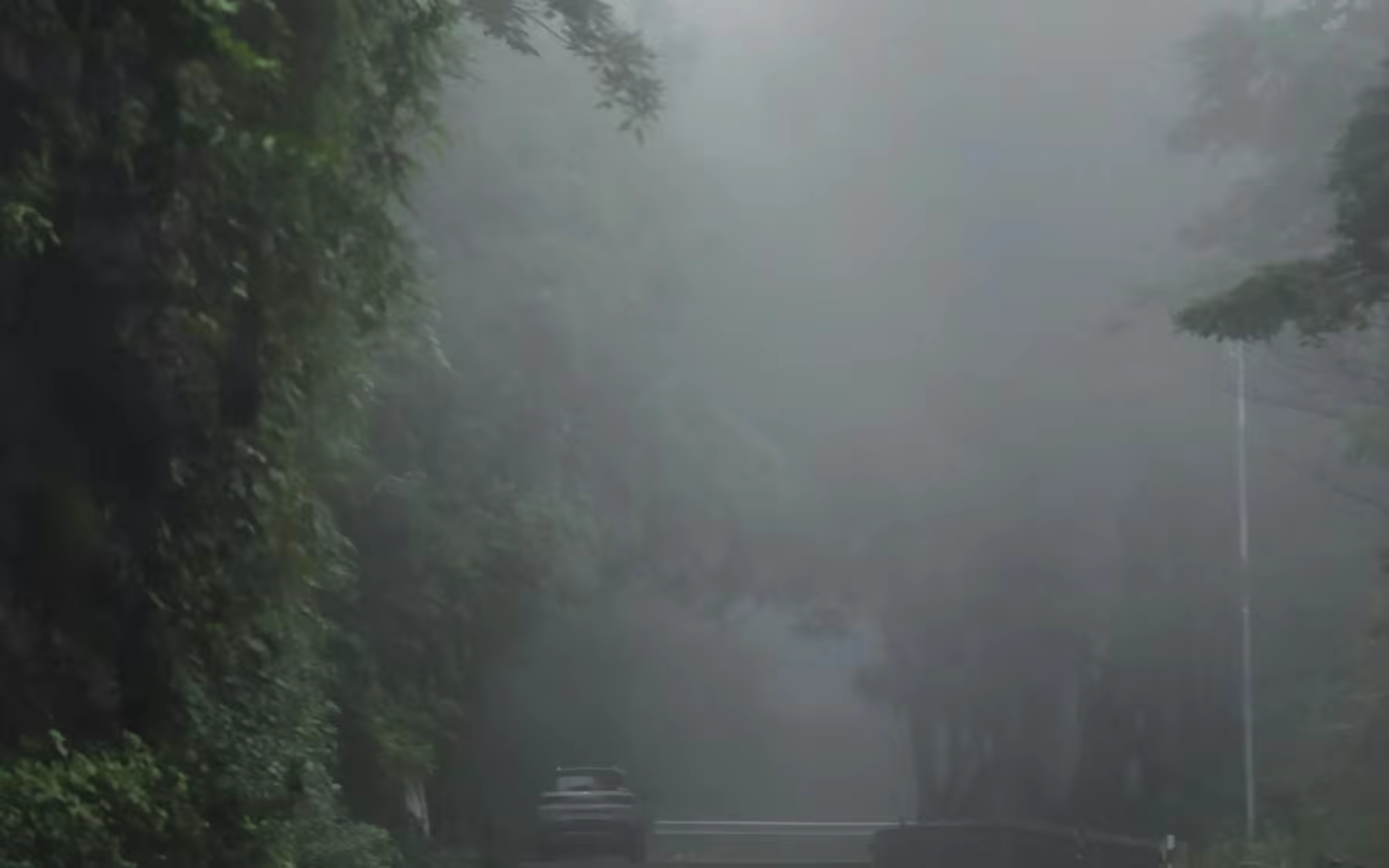 Foggy forest road for Rajaji timing and price planning